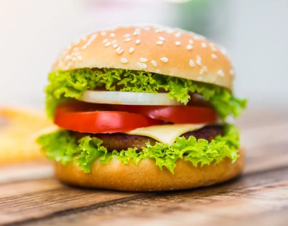 Hamburguer Simples